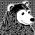 Avatar for stevejohnson from gravatar.com