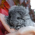 Avatar for juditnovak from gravatar.com