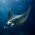 Avatar for manta from gravatar.com