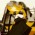 Avatar for yxonic from gravatar.com