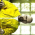 Avatar for beycom99 from gravatar.com