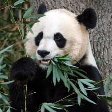 Avatar for Sebastian Meyer from gravatar.com