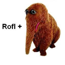 Avatar for abrams.stephen from gravatar.com