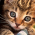 Avatar for nyanpasu64 from gravatar.com