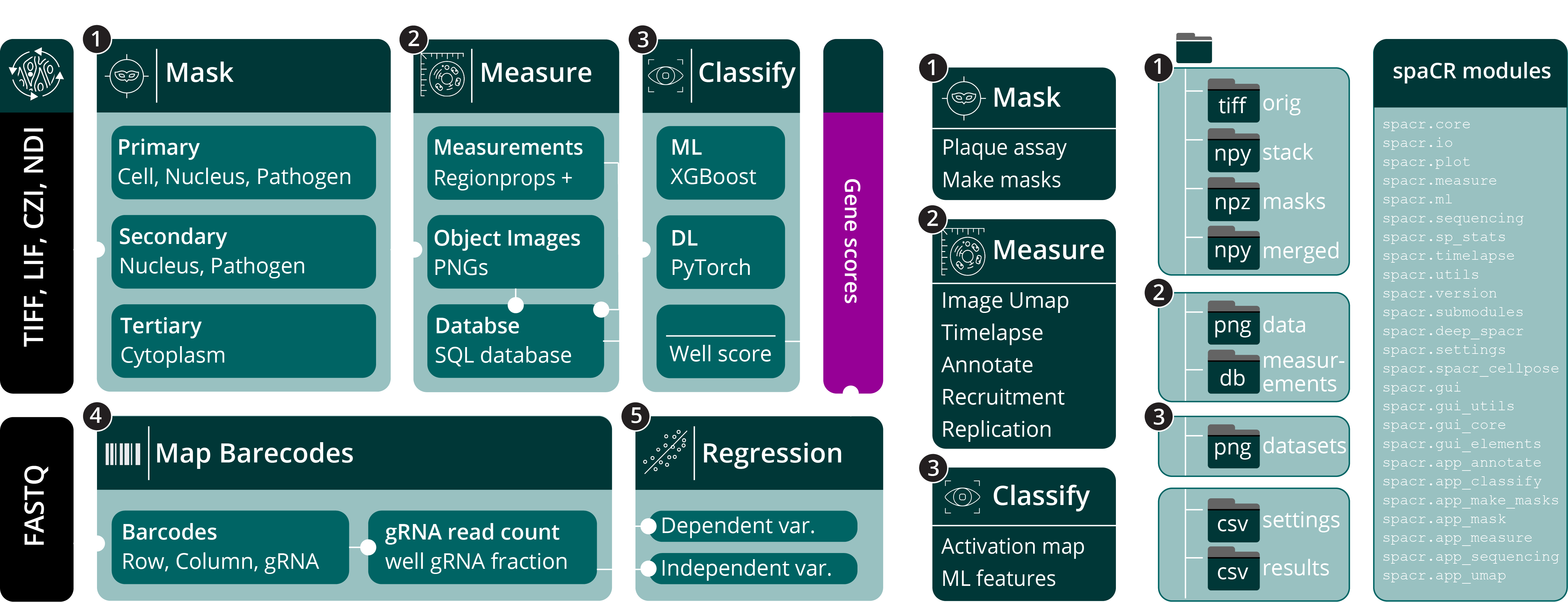 spaCR workflow and output organization
