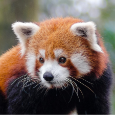 Avatar for funnsam from gravatar.com