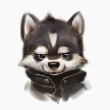 Avatar for Vladimir from gravatar.com