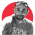 Avatar for loribel from gravatar.com