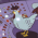 Avatar for rcgalbo from gravatar.com