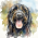 Avatar for jezumbro from gravatar.com