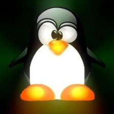 Avatar for sunkeysun from gravatar.com