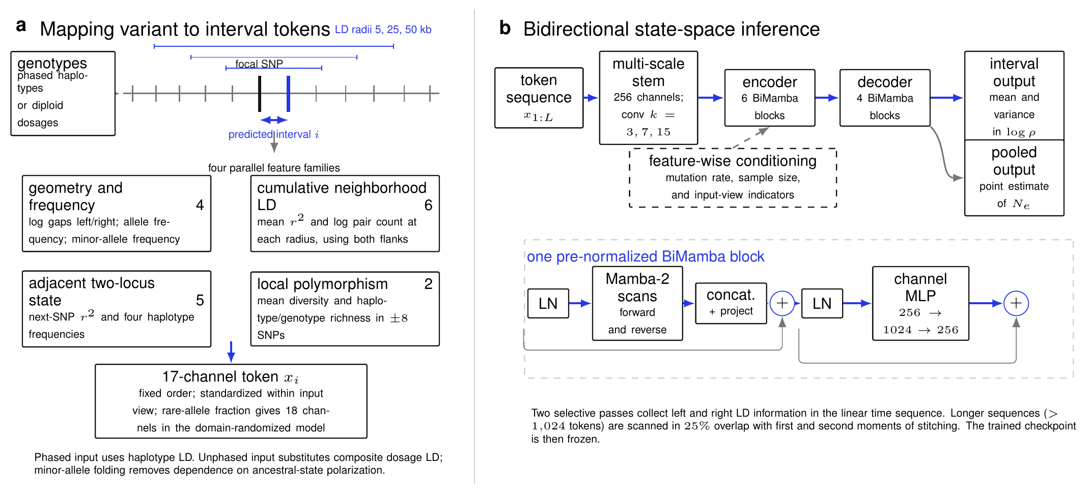 fastrho method schematic showing SNP feature tokens, bidirectional state-space inference, and interval-level recombination-rate output