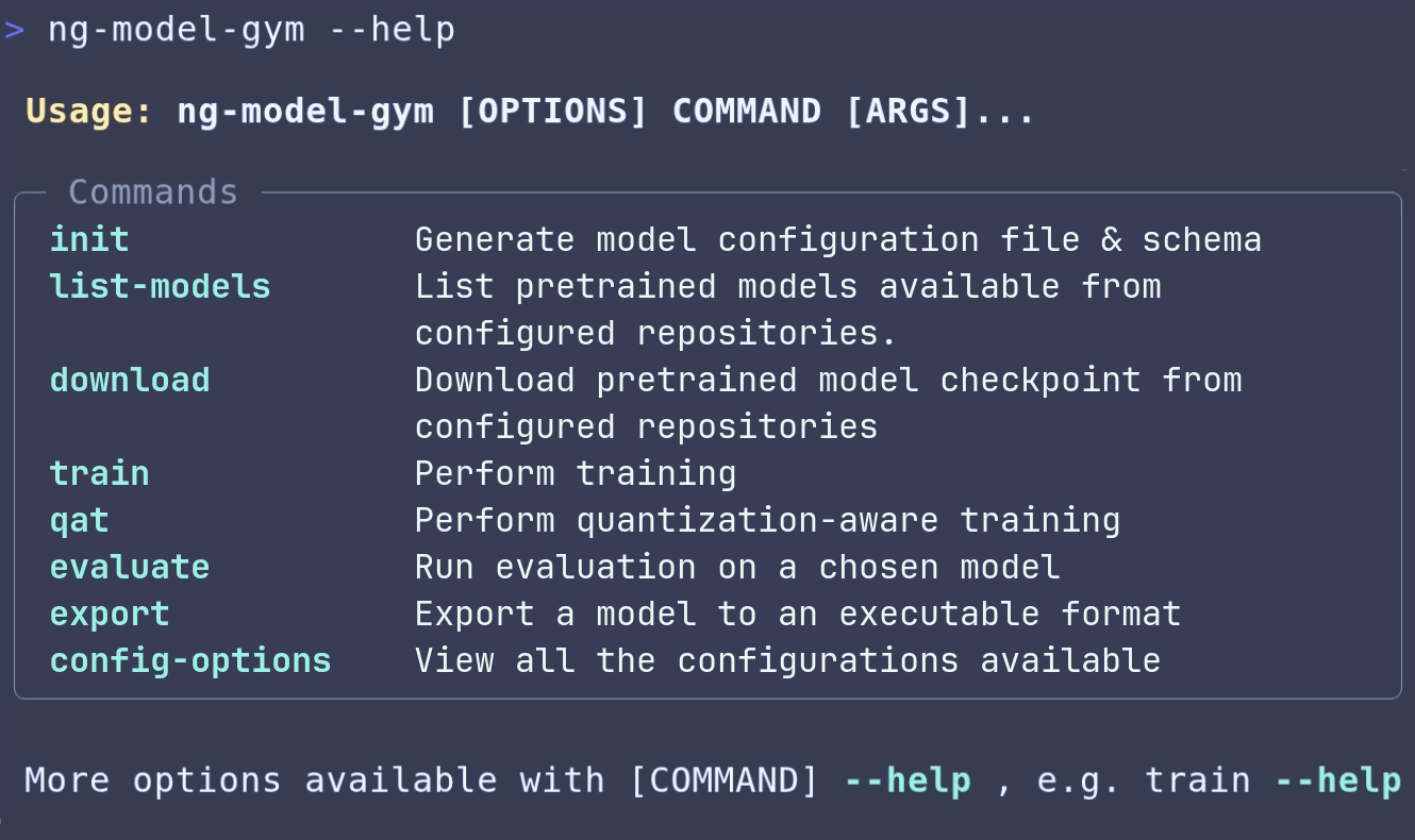 Neural Graphics Model Gym CLI help output