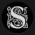 Avatar for sdvstephens from gravatar.com
