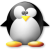 Avatar for arnoldkrille from gravatar.com